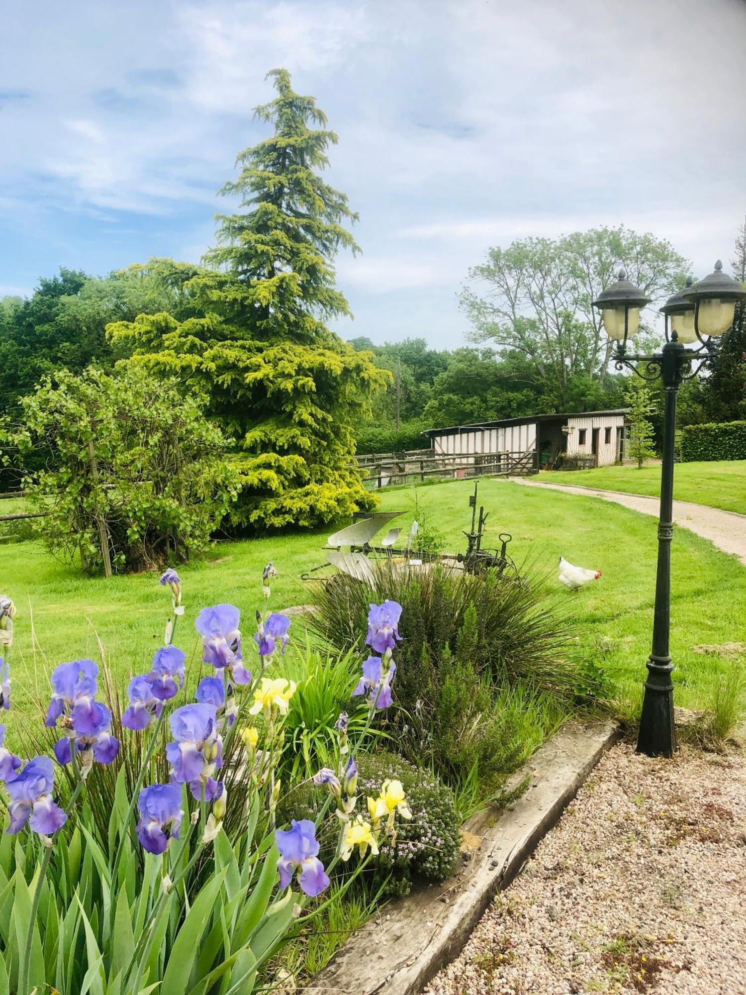 Le Champ Des Possibles Bed & Breakfast Manerbe Exterior photo