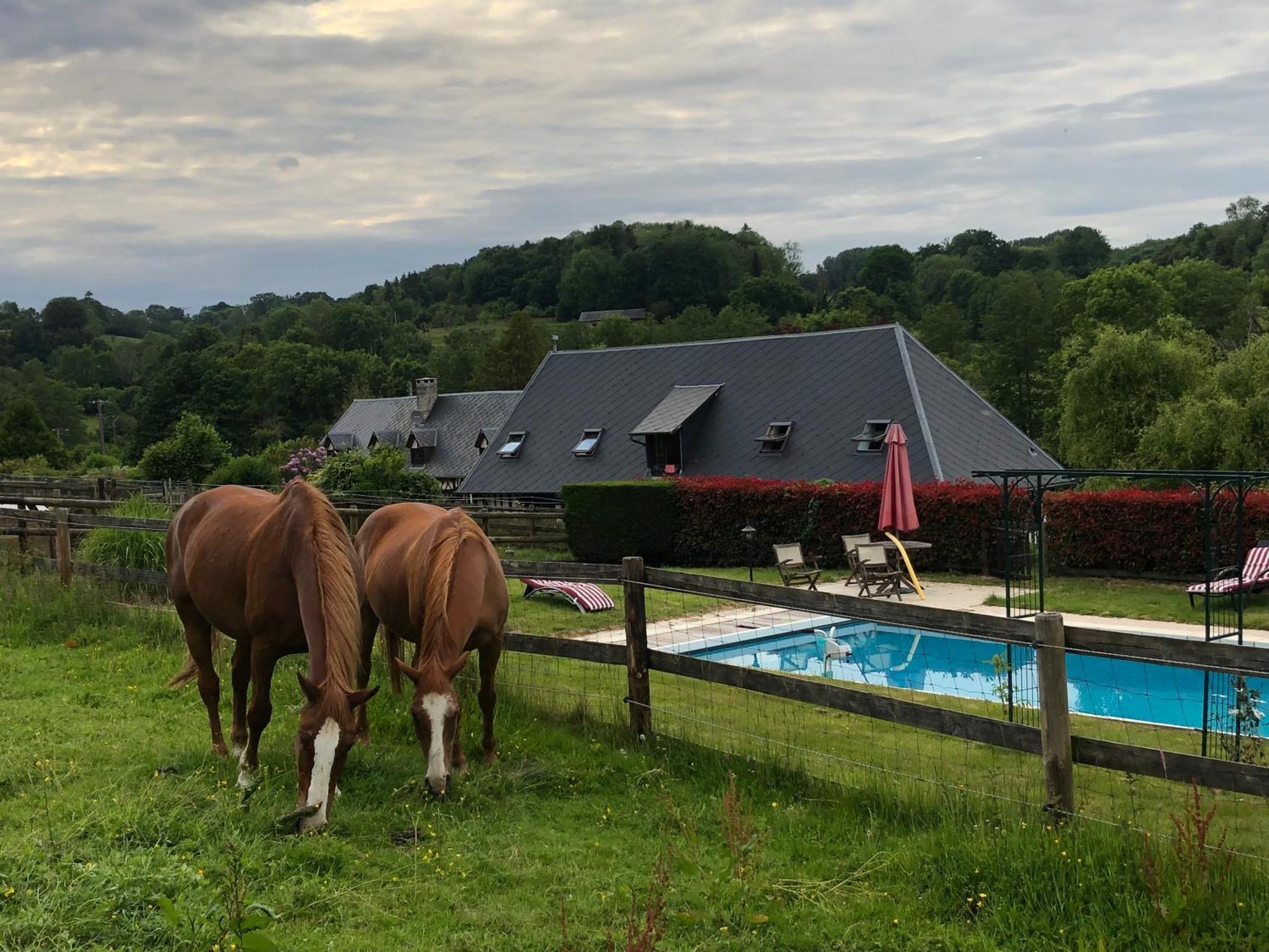 Le Champ Des Possibles Bed & Breakfast Manerbe Exterior photo